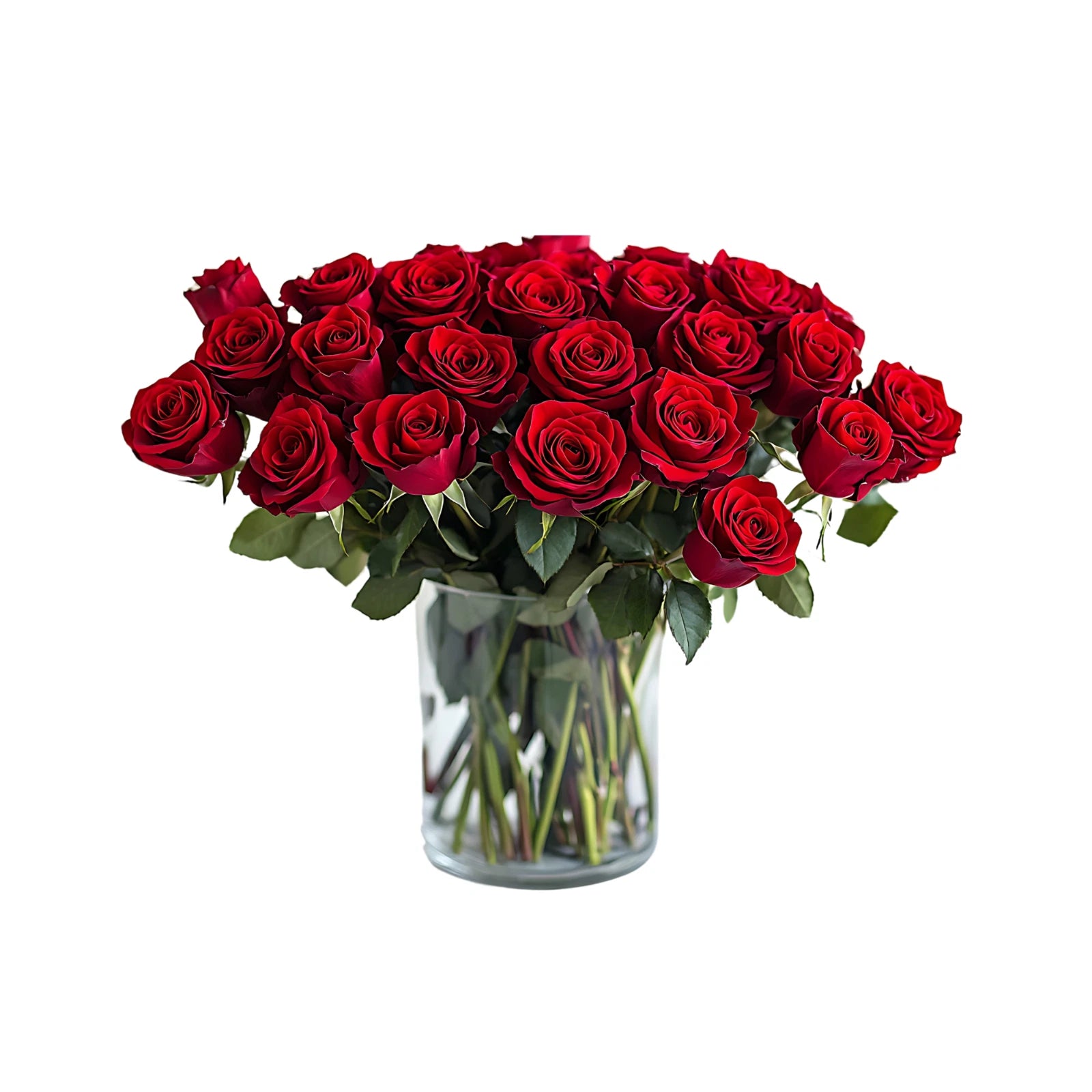 24 Real Premium Fresh Cut Red Roses - 24 Stems Fresh Flowers - Fresh Bouquets