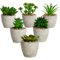 6 Pack Artificial Succulent Plant Pots, Faux Indoor Mini Cactus, 2.7 to 4 in